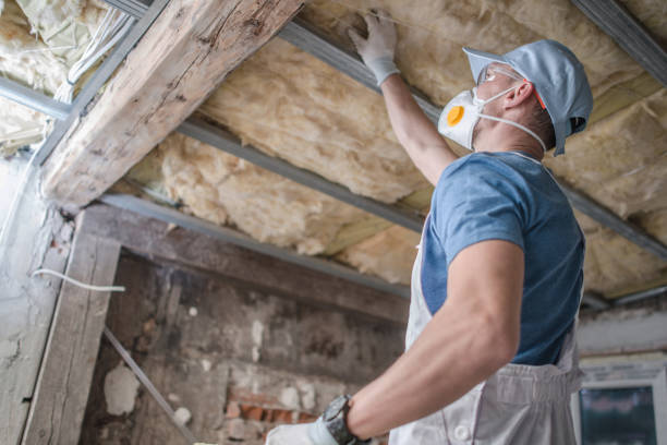 Professional Insulation Contractor in Slocom, AL